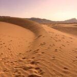 sahara desert, sahara, sand, landscape, dry, hot, dune, dunes, africa, travel, drought, adventure, morocco, dust, nomad, expedition, footprints, footsteps, journey, sahara desert, sahara desert, sahara, sahara, sahara, sahara, sahara, travel, morocco, morocco, nomad