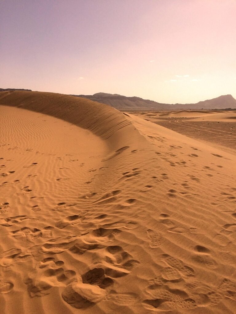 sahara desert, sahara, sand, landscape, dry, hot, dune, dunes, africa, travel, drought, adventure, morocco, dust, nomad, expedition, footprints, footsteps, journey, sahara desert, sahara desert, sahara, sahara, sahara, sahara, sahara, travel, morocco, morocco, nomad