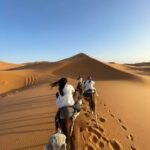 e602190c-fdab-42b3-80d3-b79dd794953d