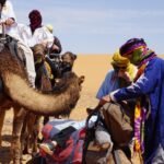 fcee3100-b4b4-4193-87d5-a0c404e981fe