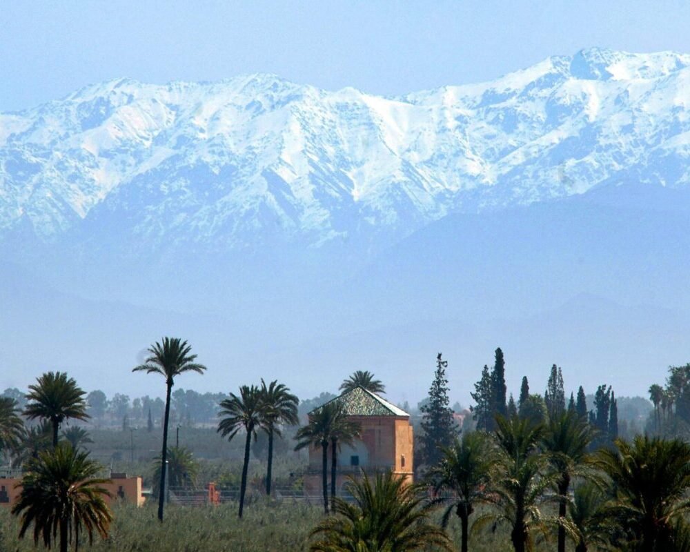 Breathtaking view of snowcapped Atlas Mountains with palm trees in Marrakech, Morocco.