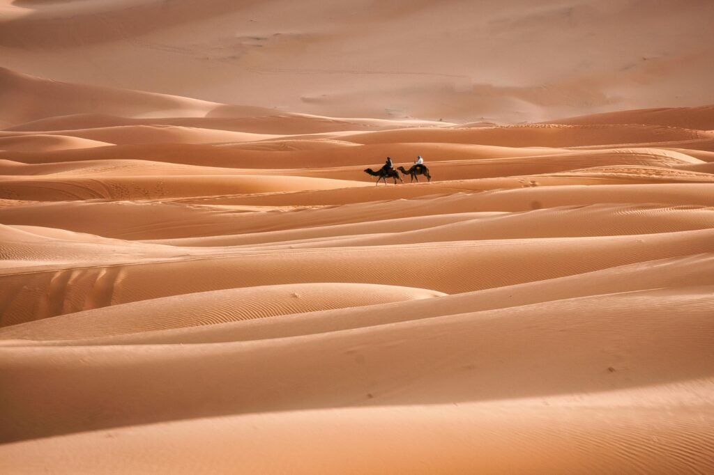 Two camels journey across expansive sand dunes in the Sahara Desert, Morocco, at dusk.