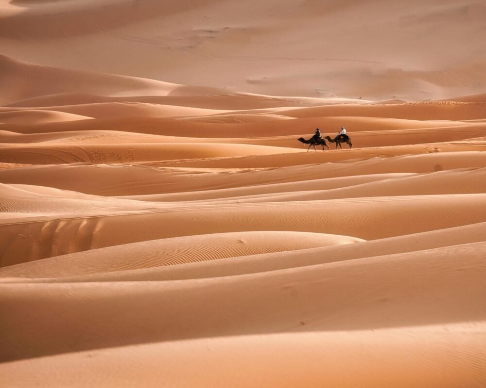 Two camels journey across expansive sand dunes in the Sahara Desert, Morocco, at dusk.