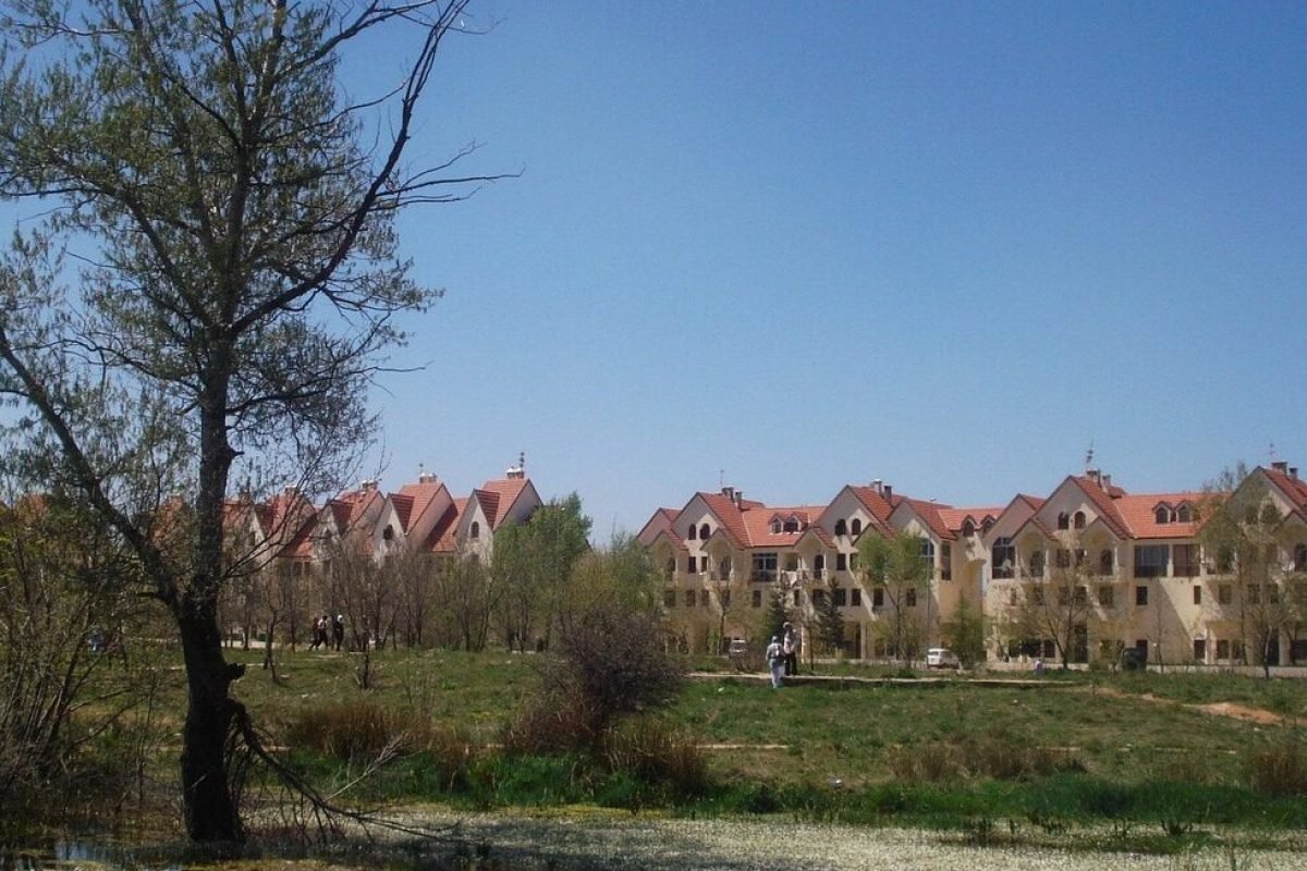 nature, ifran, morocco, ifran, ifran, ifran, ifran, ifran