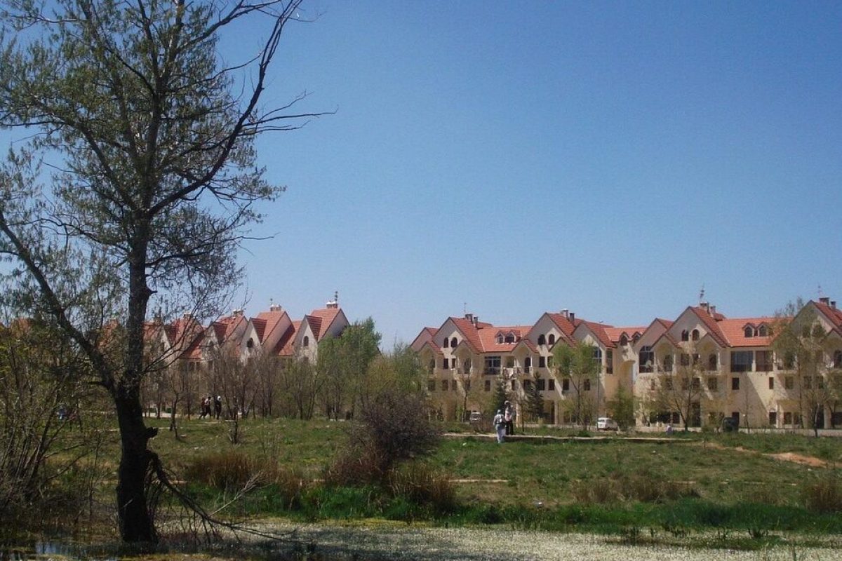 nature, ifran, morocco, ifran, ifran, ifran, ifran, ifran