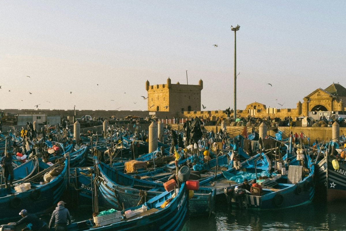 Colorful fishing boats moored in the bustling port of Essaouira, Morocco, with historic fortifications in view.