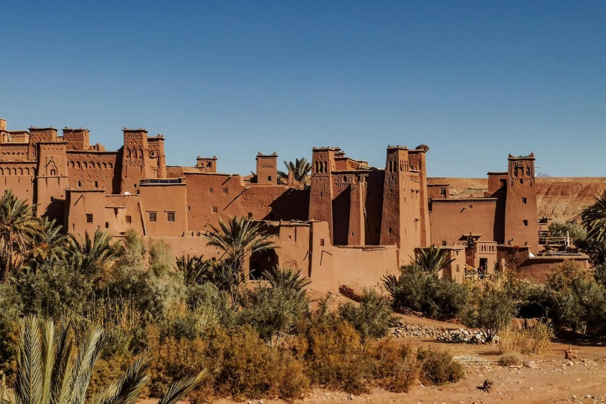 Exterior of old masonry buildings with square shaped windows near dry sandy terrain with growing palm trees and grass under blue sky